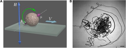 Fig. 1