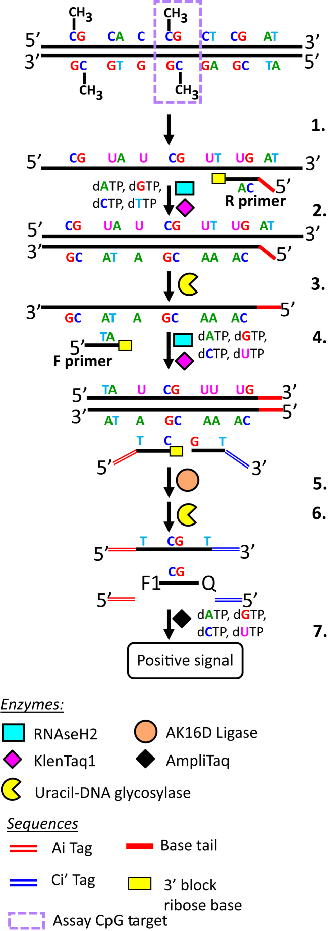 Figure 3