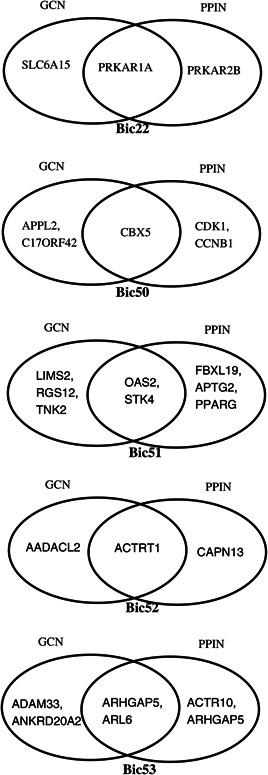 Fig. 9