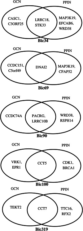 Fig. 10