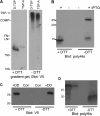 F<sc>IG</sc>. 3.