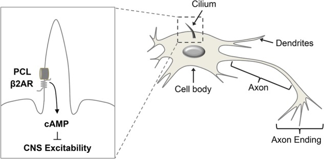 Figure 6.