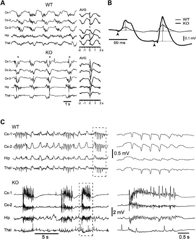 Figure 3.