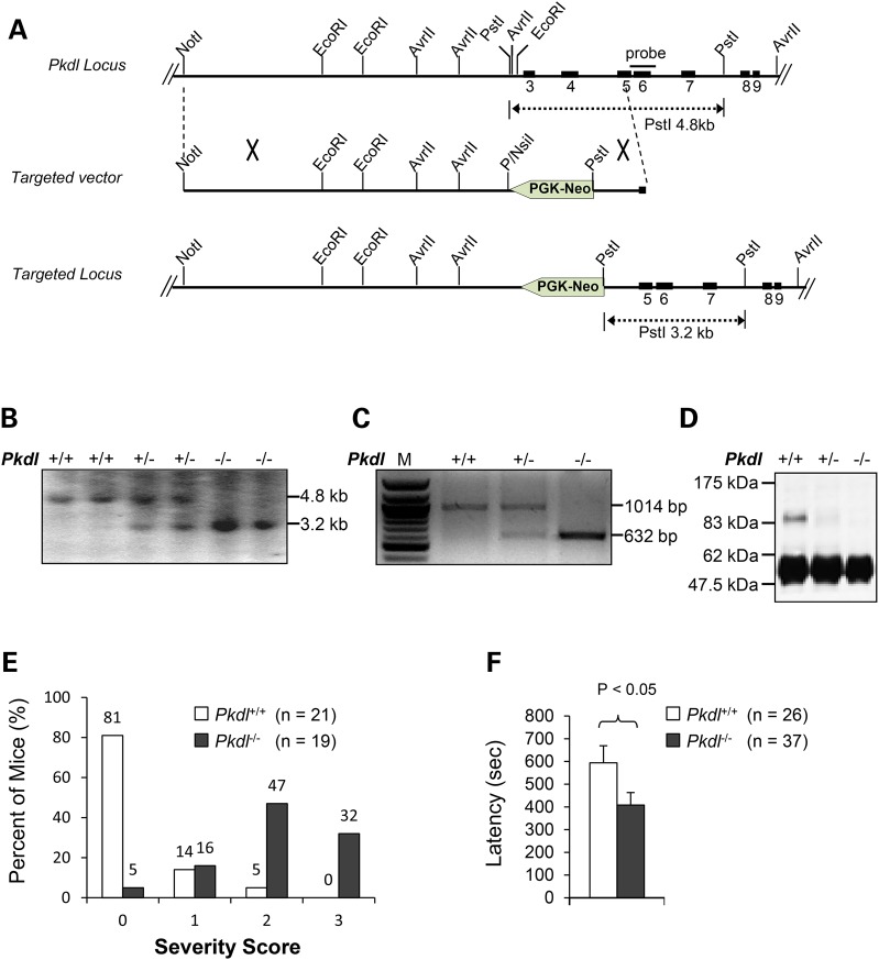 Figure 2.