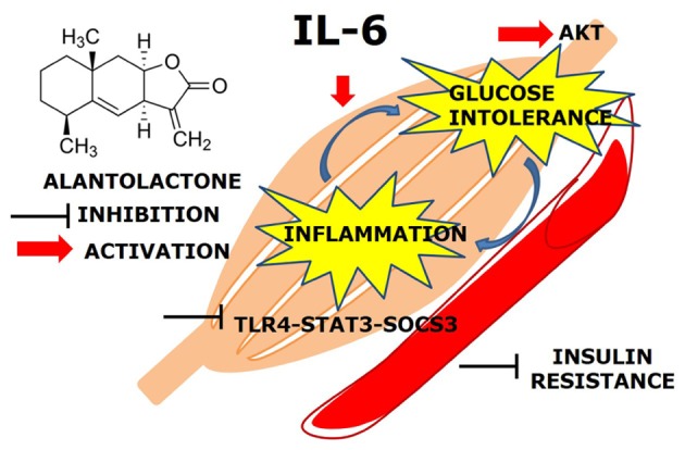 GRAPHICAL ABSTRACT