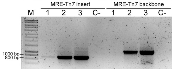 Figure 6.