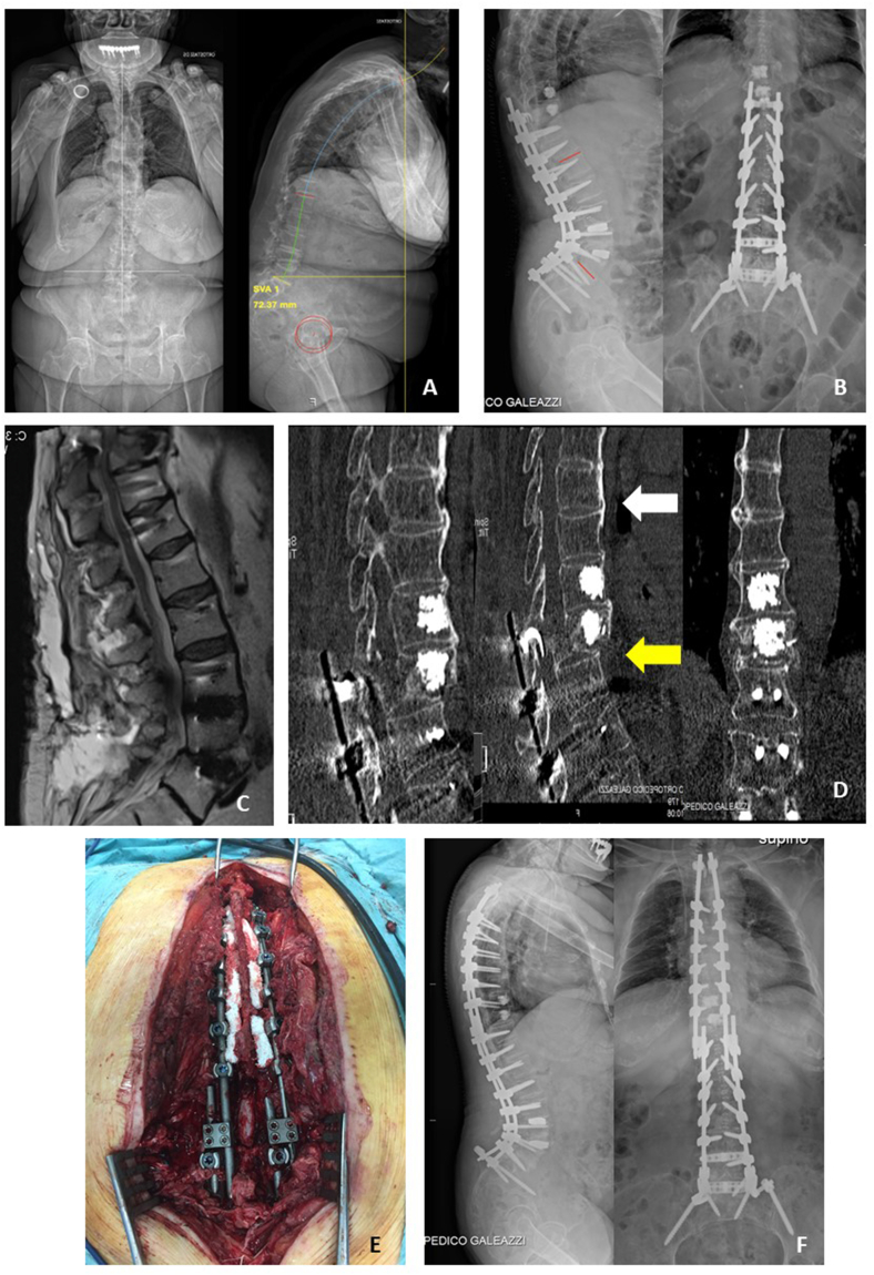 Fig. 2