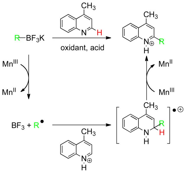 Scheme 2