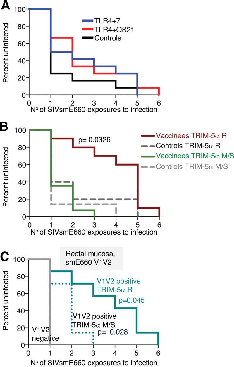 FIG 3