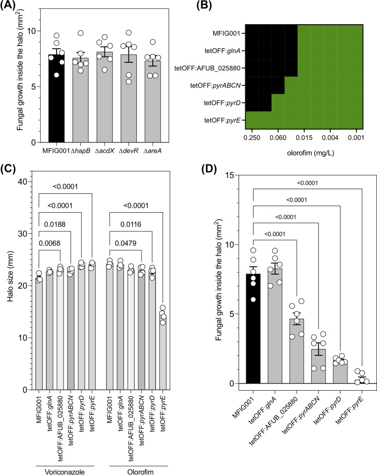 FIG 6