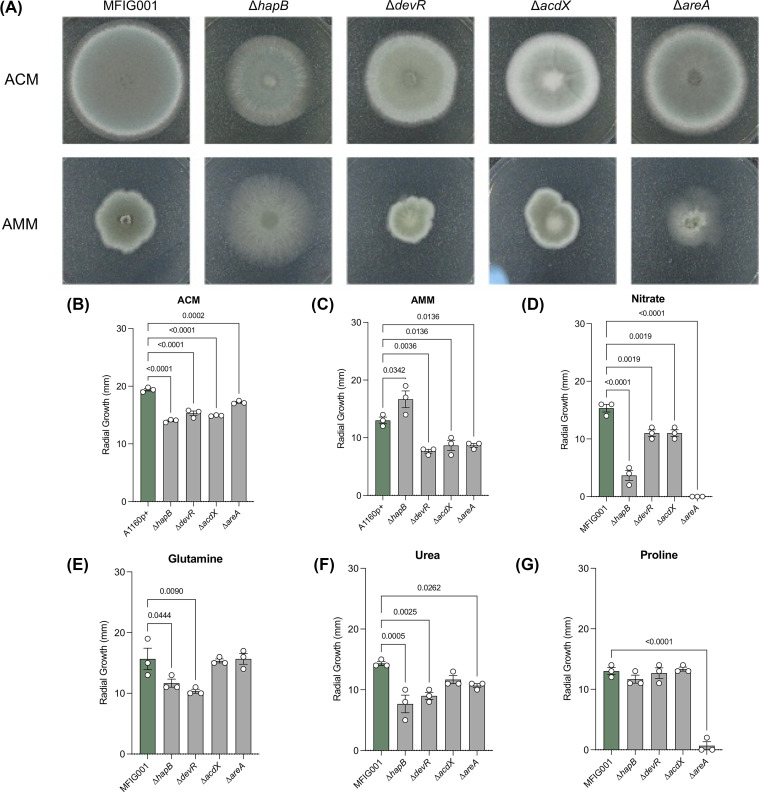 FIG 3