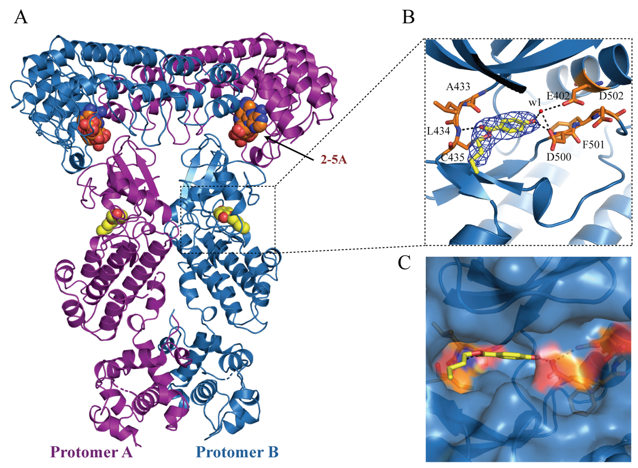 Figure 3.