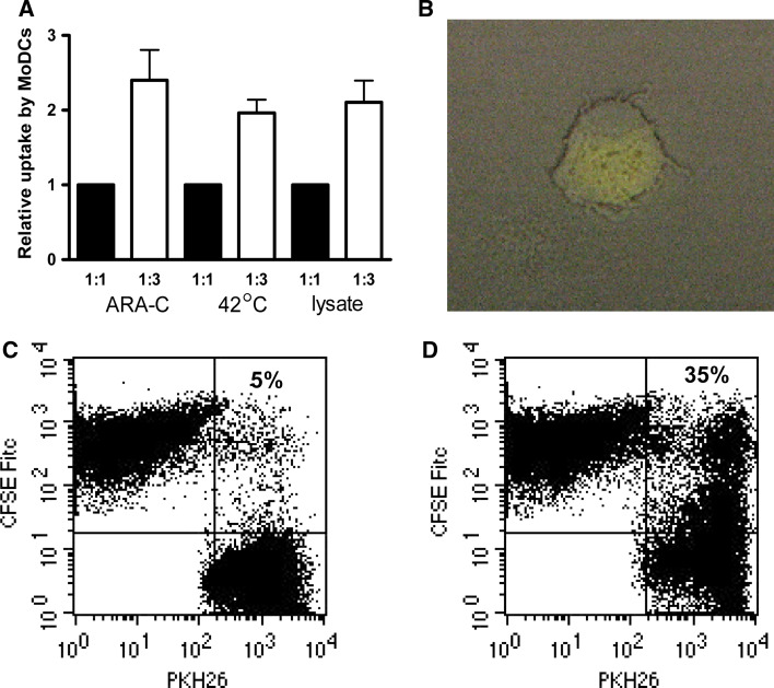 Fig. 1