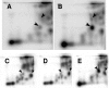 FIG. 3.