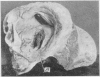 320-1