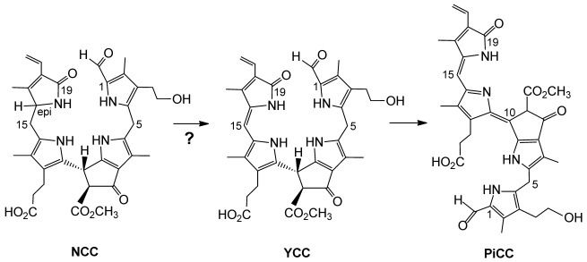 Scheme 2