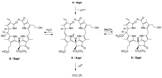 Scheme 5