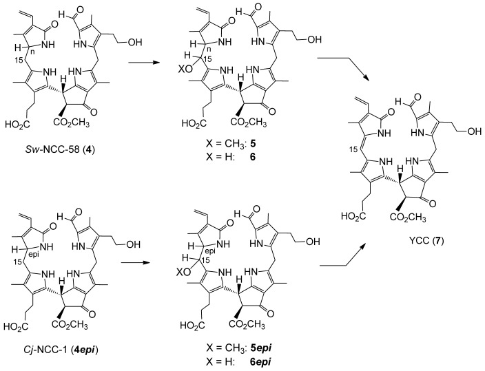 Scheme 3