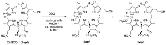 Scheme 4