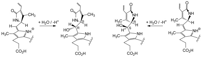 Scheme 6