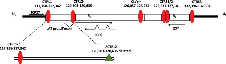 FIG 1