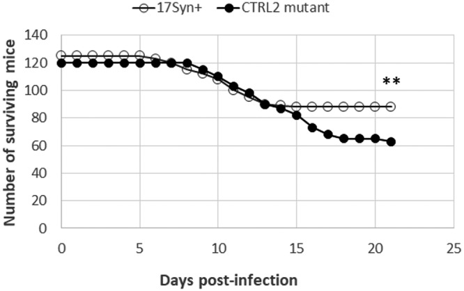 FIG 3