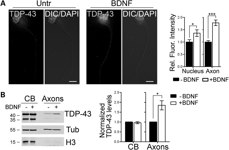 Figure 2.