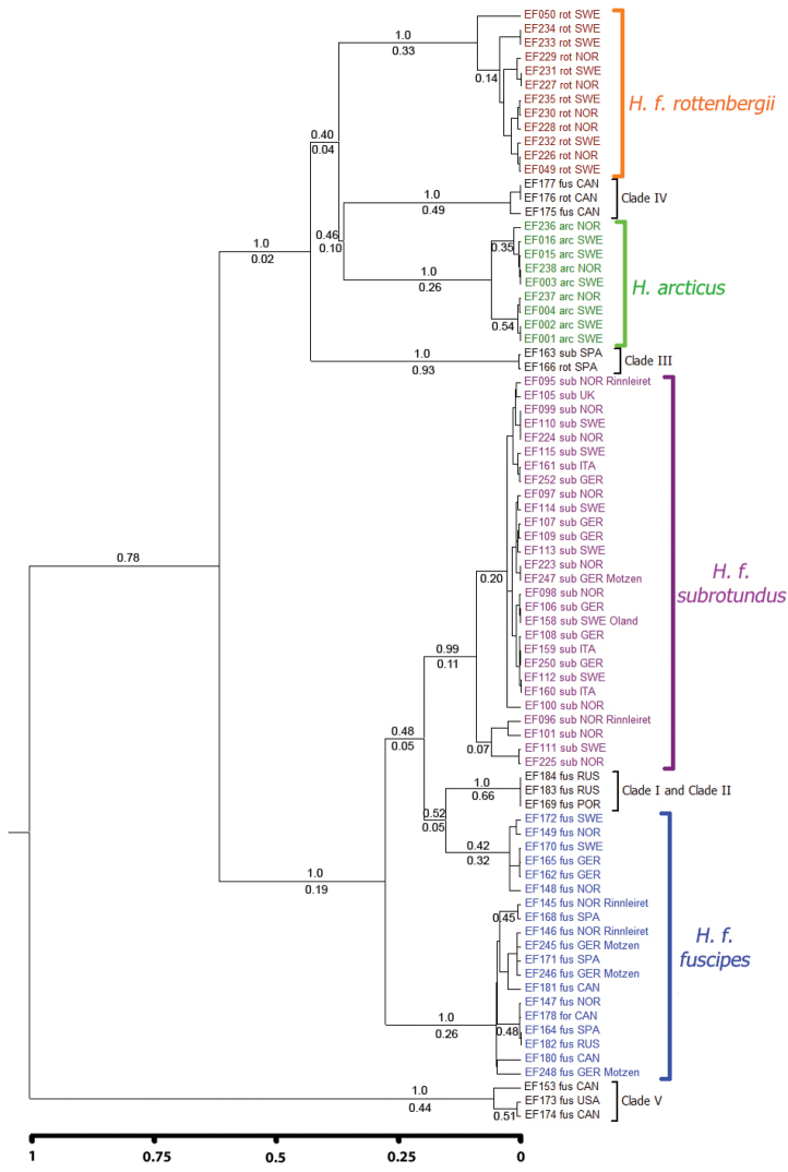 Figure 7.