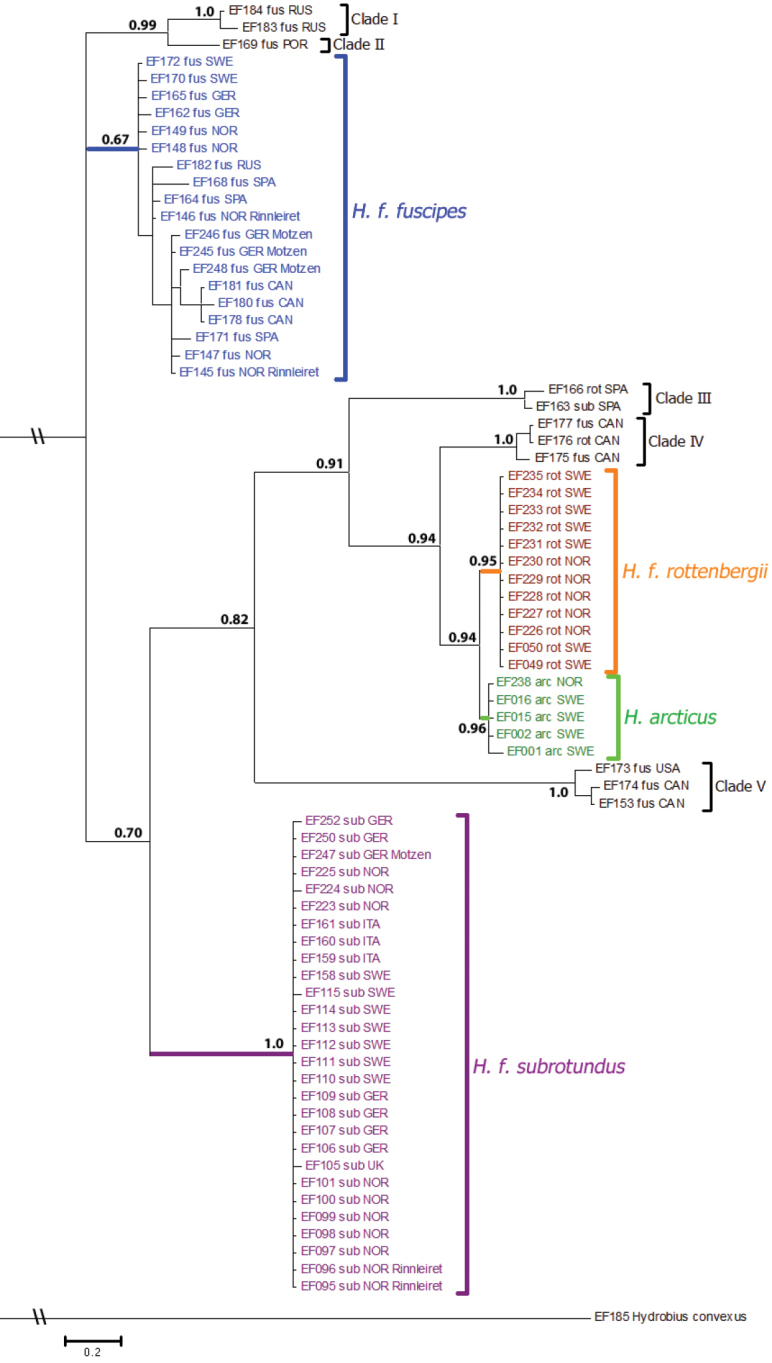 Figure 5.