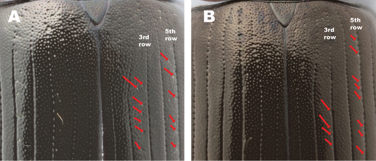 Figure 15.