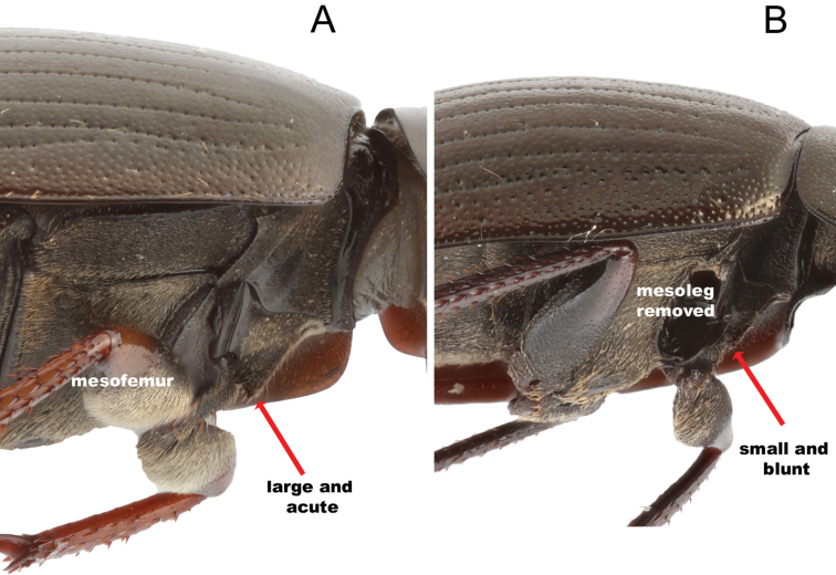 Figure 14.