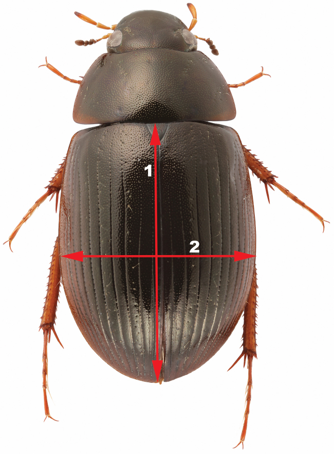 Figure 4.