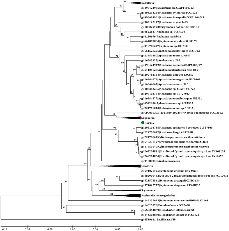 FIGURE 4