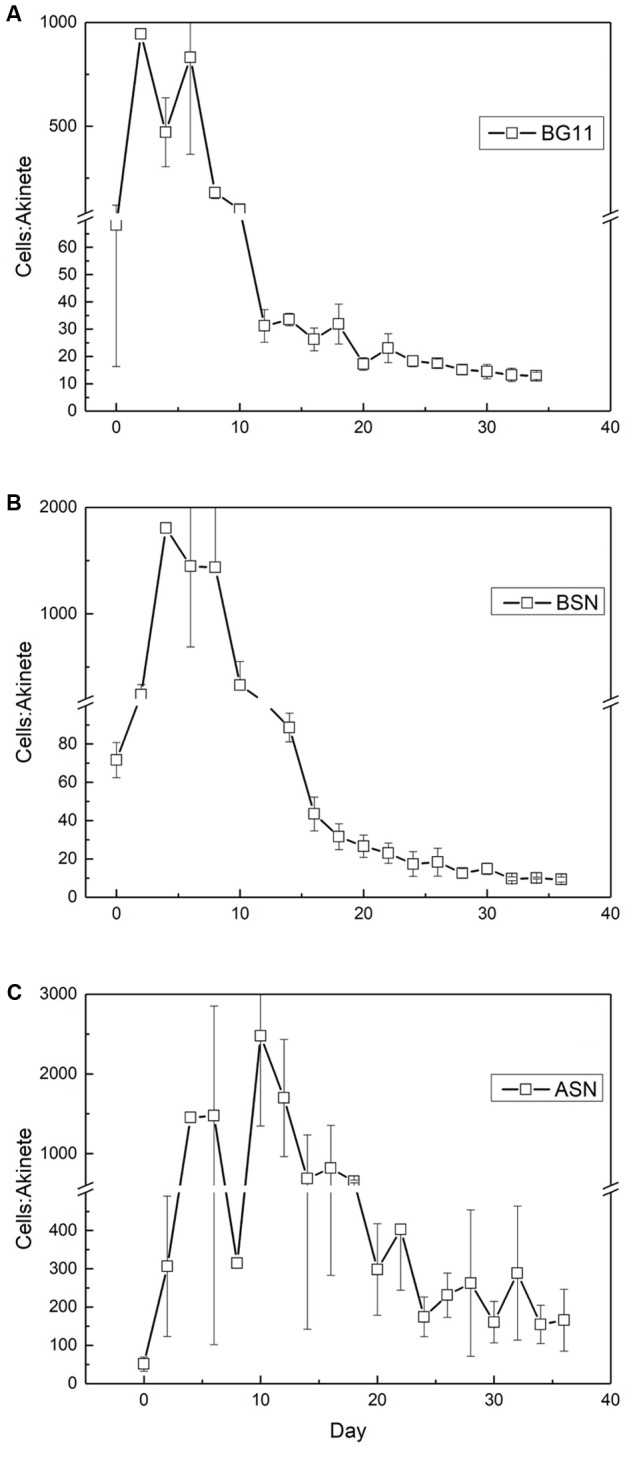 FIGURE 11