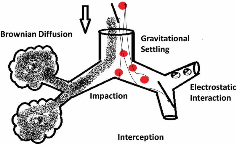 Figure 3A.