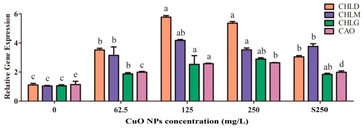 Figure 5