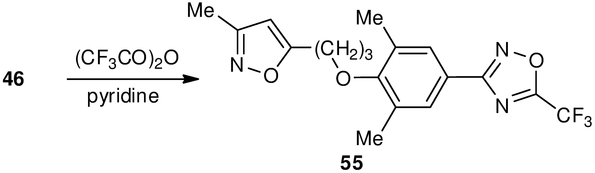 Scheme 14.