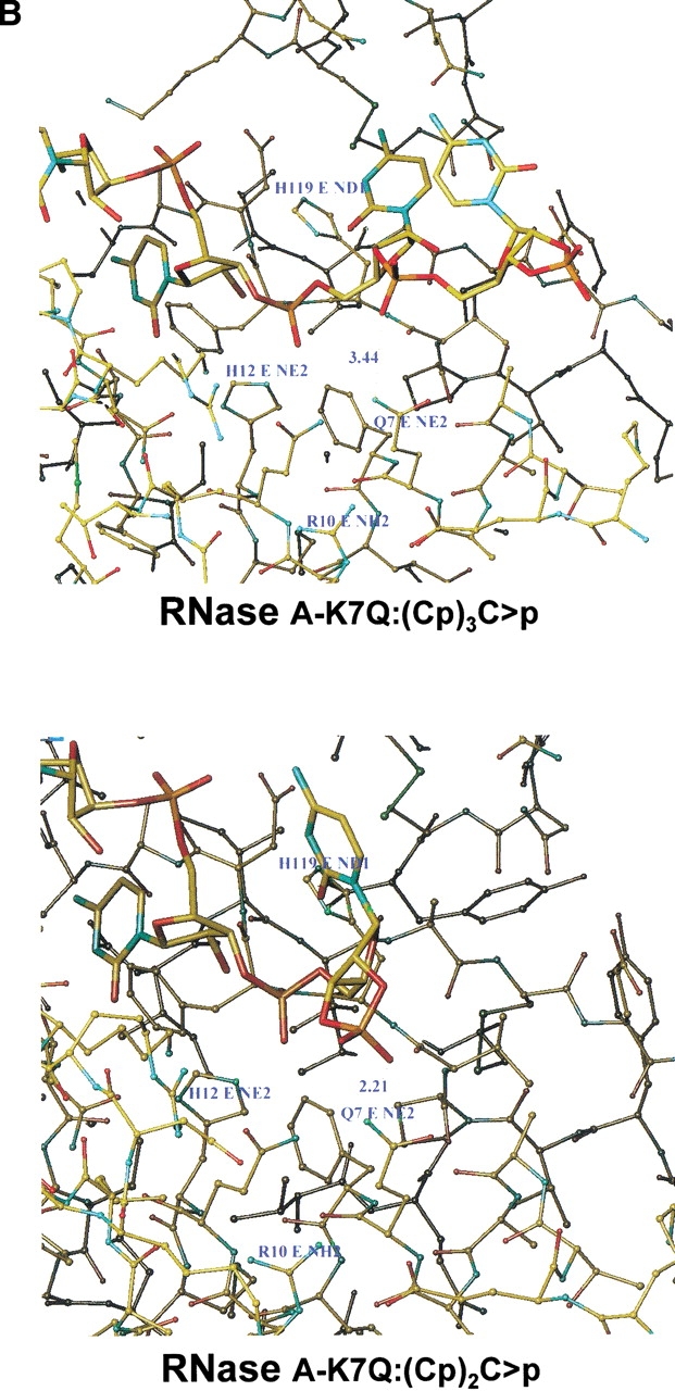 Fig. 7.