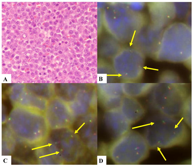 FIGURE 2