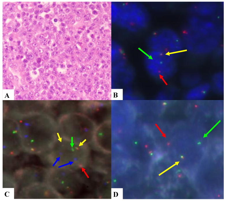 FIGURE 1