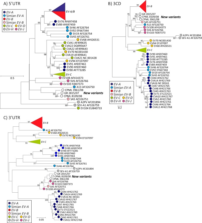 FIG 6