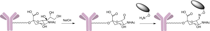 Fig. 11