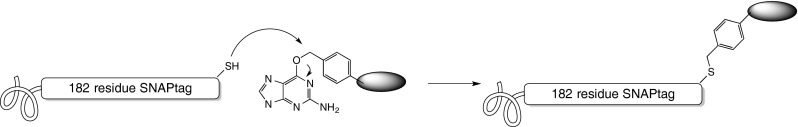 Fig. 9