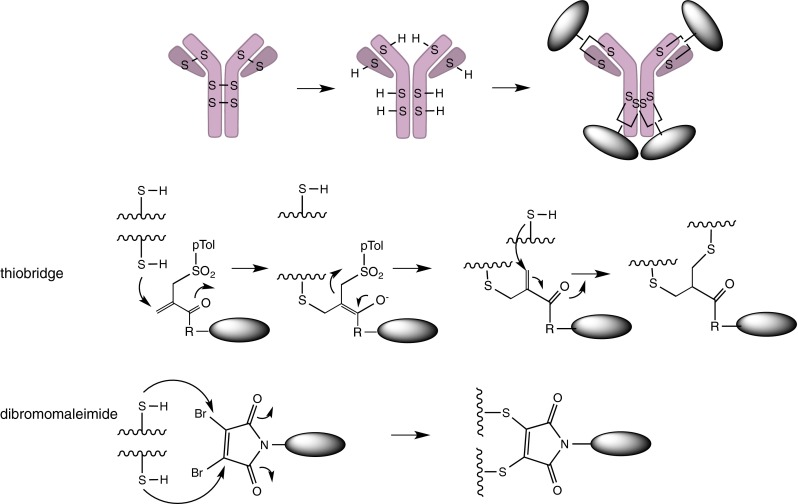 Fig. 10