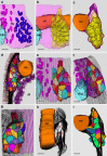 Fig. 6