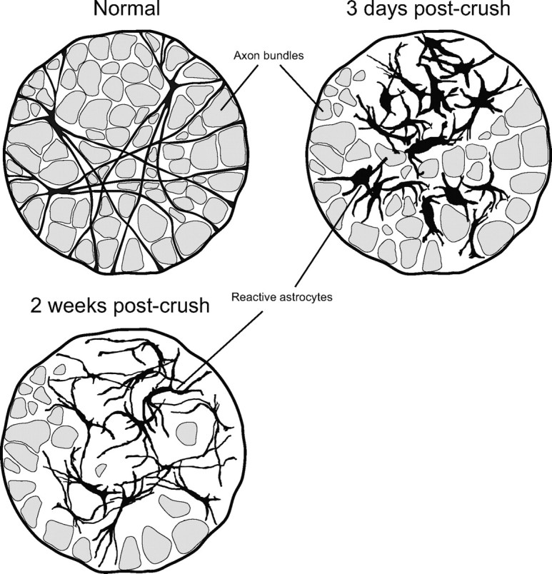 Figure 9.