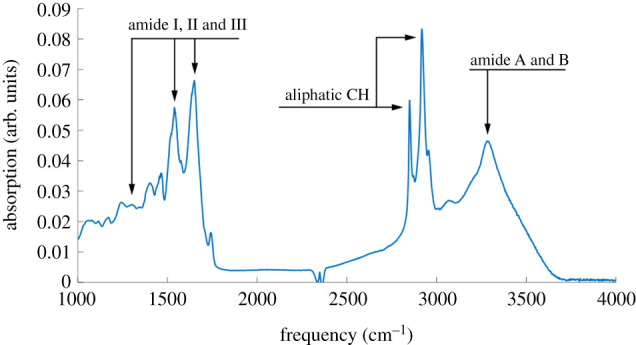 Figure 3. 