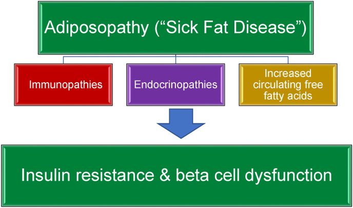 Fig. 1