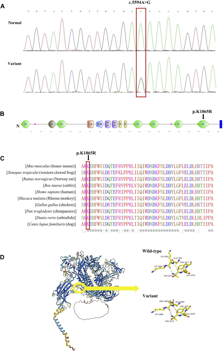 FIGURE 2