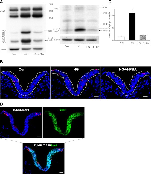 FIG. 7.